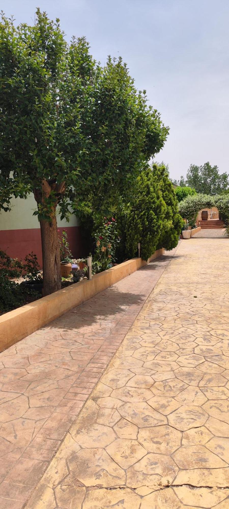 Casa Rural El Tejar San Clemente  Exterior foto