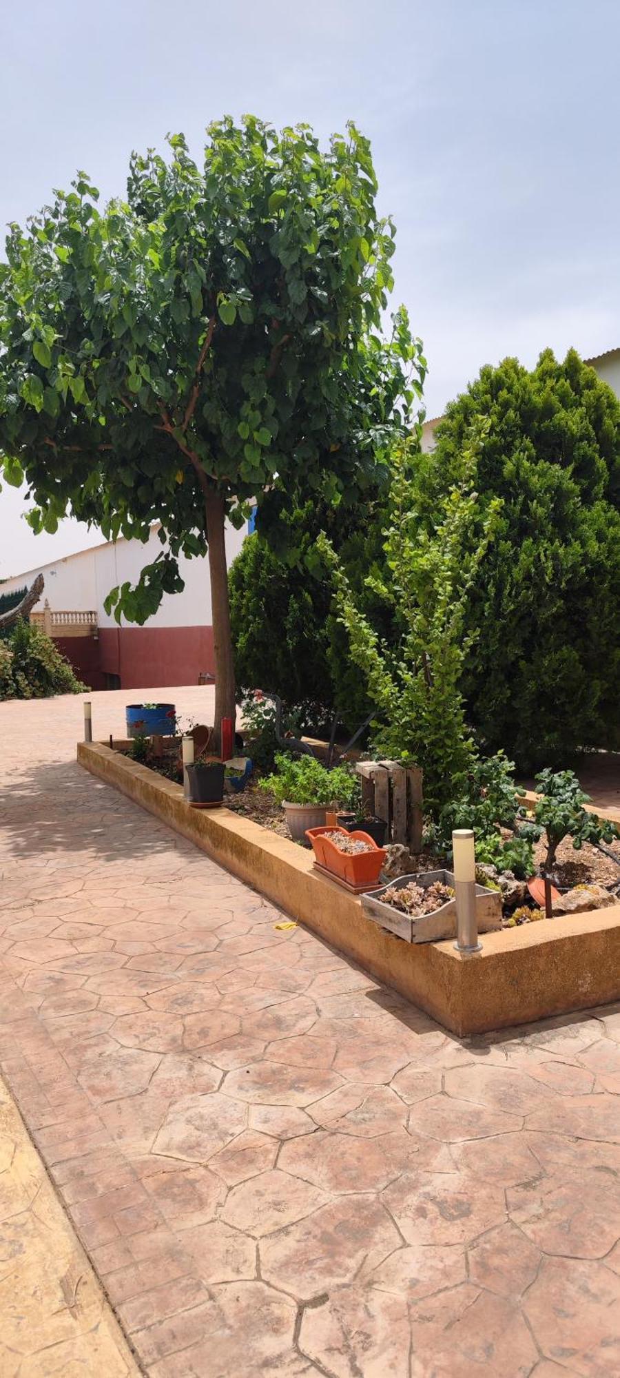 Casa Rural El Tejar San Clemente  Exterior foto